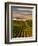 USA, Washington, Pasco. Harvest in Eastern Washington Vineyard-Richard Duval-Framed Photographic Print