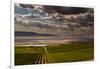 USA, Washington, Pasco. Vineyard in Eastern Washington-Richard Duval-Framed Photographic Print