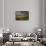 USA, Washington, Pasco. Vineyard in Eastern Washington-Richard Duval-Framed Stretched Canvas displayed on a wall