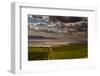 USA, Washington, Pasco. Vineyard in Eastern Washington-Richard Duval-Framed Photographic Print