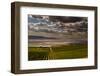 USA, Washington, Pasco. Vineyard in Eastern Washington-Richard Duval-Framed Premium Photographic Print