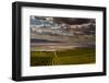 USA, Washington, Pasco. Vineyard in Eastern Washington-Richard Duval-Framed Premium Photographic Print