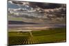 USA, Washington, Pasco. Vineyard in Eastern Washington-Richard Duval-Mounted Premium Photographic Print