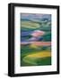 USA, Washington. Patterns and Colors of the Palouse Region-Jaynes Gallery-Framed Photographic Print