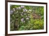 USA, Washington, Poulsbo. Exterior of Kiana Lodge-Jaynes Gallery-Framed Photographic Print