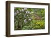 USA, Washington, Poulsbo. Exterior of Kiana Lodge-Jaynes Gallery-Framed Photographic Print