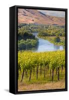 USA, Washington, Red Mountain. Vineyard on with the Yakima River-Richard Duval-Framed Stretched Canvas