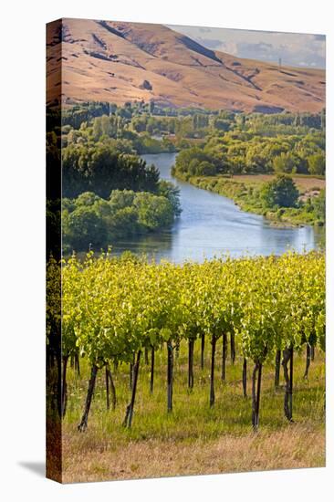 USA, Washington, Red Mountain. Vineyard on with the Yakima River-Richard Duval-Stretched Canvas