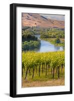 USA, Washington, Red Mountain. Vineyard on with the Yakima River-Richard Duval-Framed Photographic Print