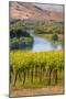 USA, Washington, Red Mountain. Vineyard on with the Yakima River-Richard Duval-Mounted Photographic Print