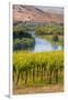 USA, Washington, Red Mountain. Vineyard on with the Yakima River-Richard Duval-Framed Photographic Print