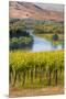 USA, Washington, Red Mountain. Vineyard on with the Yakima River-Richard Duval-Mounted Premium Photographic Print