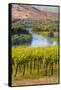 USA, Washington, Red Mountain. Vineyard on with the Yakima River-Richard Duval-Framed Stretched Canvas