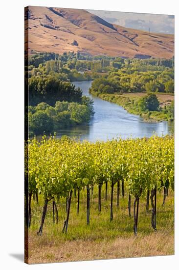 USA, Washington, Red Mountain. Vineyard on with the Yakima River-Richard Duval-Stretched Canvas
