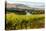 USA, Washington, Red Mountain. Vineyard on with the Yakima River-Richard Duval-Stretched Canvas