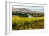 USA, Washington, Red Mountain. Vineyard on with the Yakima River-Richard Duval-Framed Photographic Print