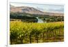 USA, Washington, Red Mountain. Vineyard on with the Yakima River-Richard Duval-Framed Photographic Print