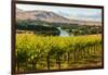 USA, Washington, Red Mountain. Vineyard on with the Yakima River-Richard Duval-Framed Photographic Print