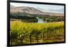 USA, Washington, Red Mountain. Vineyard on with the Yakima River-Richard Duval-Framed Photographic Print