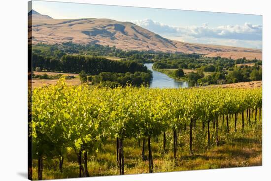 USA, Washington, Red Mountain. Vineyard on with the Yakima River-Richard Duval-Stretched Canvas