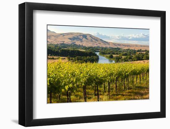 USA, Washington, Red Mountain. Vineyard on with the Yakima River-Richard Duval-Framed Premium Photographic Print