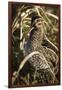 USA, Washington, Ridgefield Nwr, Wilson's Snipe (Gallinago Gallinago)-Rick A. Brown-Framed Photographic Print