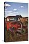 USA, Washington. Rusting Dodge Truck at an Abandoned Farm-Terry Eggers-Stretched Canvas