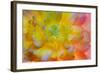 USA, Washington, Seabeck. a Back-Lit, Glowing Begonia Blossom-Jaynes Gallery-Framed Photographic Print