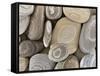 USA, Washington, Seabeck. Close-up of beach stones.-Don Paulson-Framed Stretched Canvas