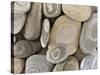 USA, Washington, Seabeck. Close-up of beach stones.-Don Paulson-Stretched Canvas