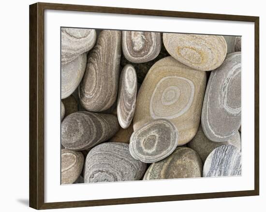 USA, Washington, Seabeck. Close-up of beach stones.-Don Paulson-Framed Photographic Print