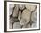 USA, Washington, Seabeck. Close-up of beach stones.-Don Paulson-Framed Photographic Print