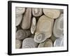 USA, Washington, Seabeck. Close-up of beach stones.-Don Paulson-Framed Photographic Print