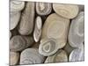 USA, Washington, Seabeck. Close-up of beach stones.-Don Paulson-Mounted Photographic Print