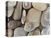 USA, Washington, Seabeck. Close-up of beach stones.-Don Paulson-Stretched Canvas