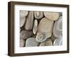 USA, Washington, Seabeck. Close-up of beach stones.-Don Paulson-Framed Photographic Print