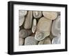 USA, Washington, Seabeck. Close-up of beach stones.-Don Paulson-Framed Photographic Print