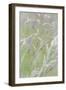 USA, Washington, Seabeck. Grasses in Motion-Jaynes Gallery-Framed Photographic Print