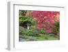 USA, Washington, Seattle, Arboretum Japanese Garden-Rob Tilley-Framed Photographic Print