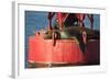 USA, Washington, Seattle. California Sea Lion Basking-Trish Drury-Framed Photographic Print