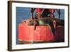 USA, Washington, Seattle. California Sea Lion Basking-Trish Drury-Framed Photographic Print