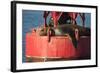 USA, Washington, Seattle. California Sea Lion Basking-Trish Drury-Framed Photographic Print