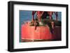 USA, Washington, Seattle. California Sea Lion Basking-Trish Drury-Framed Photographic Print