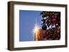 USA, Washington, Seattle. Christmas lights in downtown Seattle-Richard Duval-Framed Photographic Print