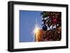 USA, Washington, Seattle. Christmas lights in downtown Seattle-Richard Duval-Framed Photographic Print