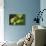 USA, Washington, Seattle, Discovery Park. Pacific tree frog.-Steve Kazlowski-Photographic Print displayed on a wall