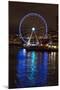 USA, Washington, Seattle. Seattle Great Wheel at Night on Pier 67-Trish Drury-Mounted Photographic Print