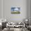 USA, Washington, Sequim, Dungeness Spit. Dungeness Spit Lighthouse-Trish Drury-Photographic Print displayed on a wall