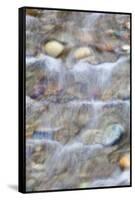 USA, Washington. Small Rocky Stream-Don Paulson-Framed Stretched Canvas