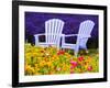 USA, Washington State, Adirondack chairs In Field of Lavender and Poppies-Terry Eggers-Framed Photographic Print